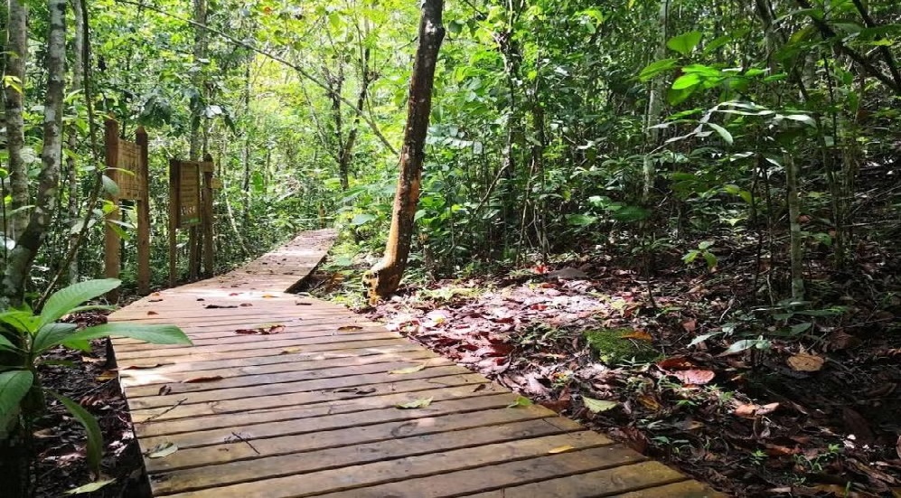 Parque Natural Guásimo en La Virginia