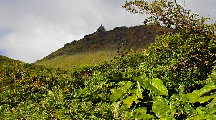 Volcán de la Soufrière de Guadalupe