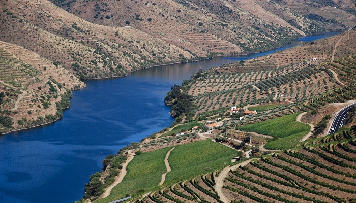 Douro Valley 