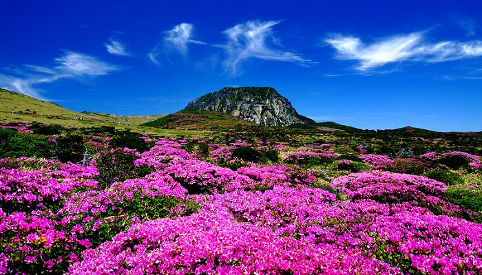 Hallasan volcano