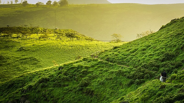 Lomas Lachay Lima Perú