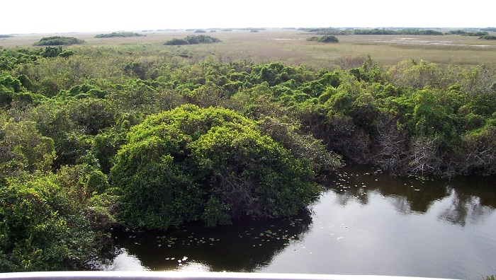 Parque Nacional Everglades