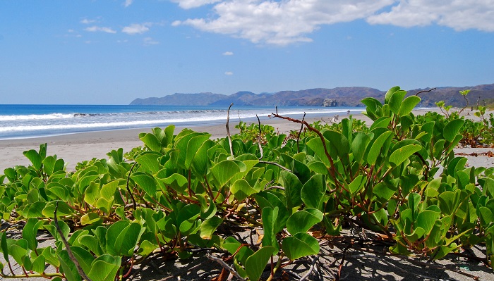 Parque Nacional Santa Rosa