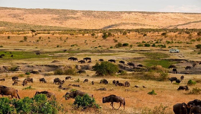 Reserva Natural Masái Mara en Kenia