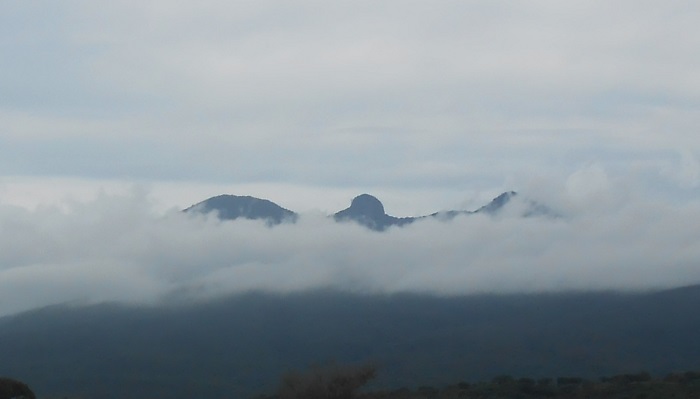 Volcan de Tequila