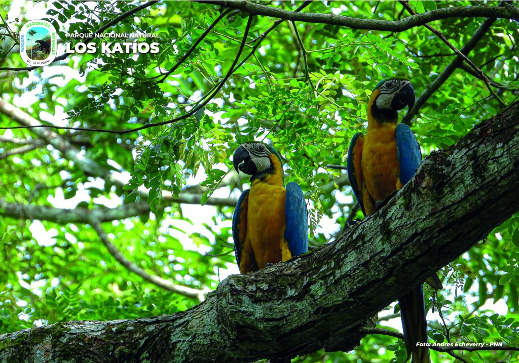 El Sendero de Las Guacamayas