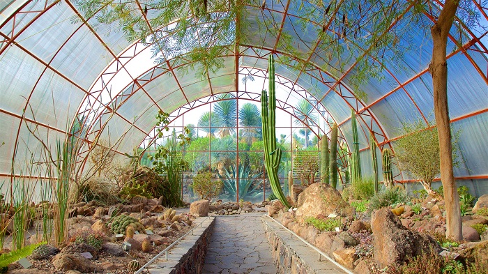 Jardín Botánico El Charco del Ingenio