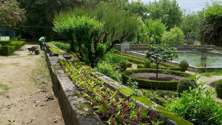 Parque do Fontelo