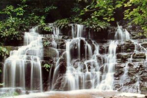 Turismo en el Parque Nacional Natural Los Katíos