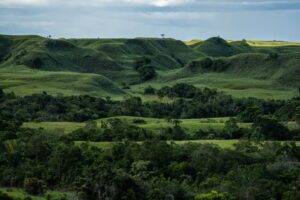 Parque Nacional Natural Llanos de Moisés