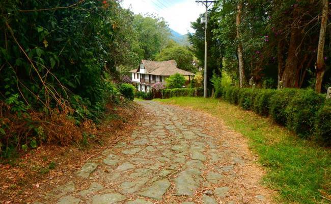 Ecoturismo en Guayabal de Siquima