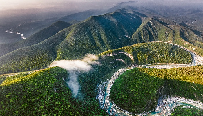 Reserva de la Biósfera El Cielo