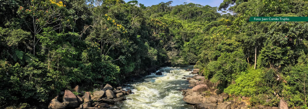 Turismo en San Carlos, Antioquia
