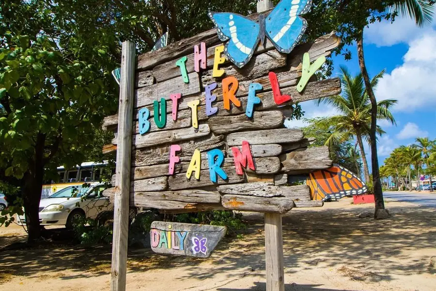 Butterfly Farm en Aruba