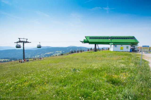 Feldberg