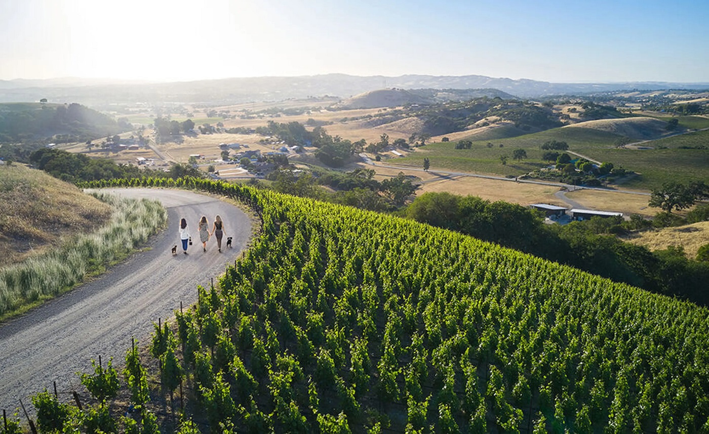 Enoturismo en California: viñedos, historia y rutas que todo amante del vino debe vivir