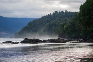 Playa del pacifico colombiano